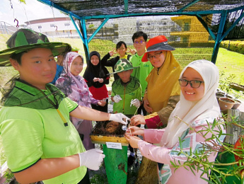 17 Stingless Bee Eco-Garden 2.jpg